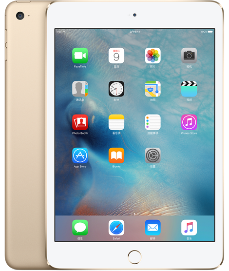 iPad mini 4 64G WLAN机型（银色、金色、深空灰色可选） 苹果 Apple