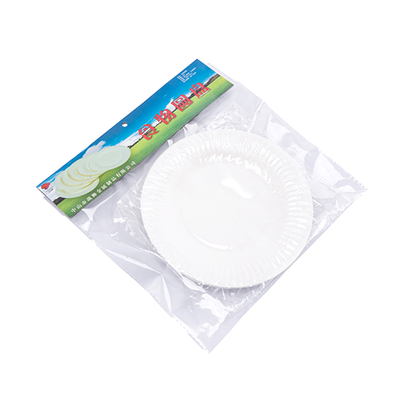战狮 户外烧烤一次性食物圆盘 ZSPJ-2210
