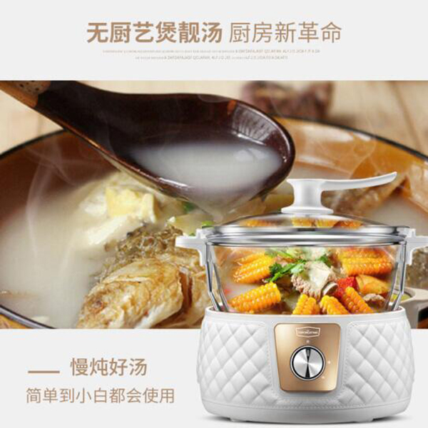 拓璞 全自动家用玻璃慢炖锅煲汤煮粥煎药膳养生电炖锅5L E012