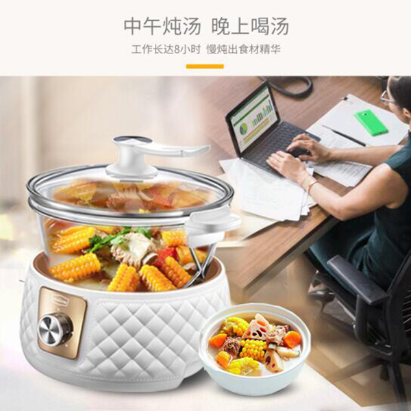 拓璞 全自动家用玻璃慢炖锅煲汤煮粥煎药膳养生电炖锅5L E012