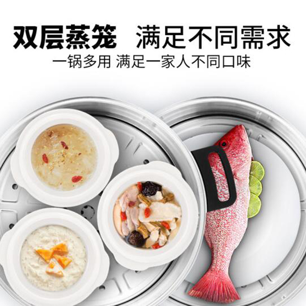 拓璞 海鲜蒸汽锅电蒸锅上蒸下煮多功能家用蒸笼桑拿锅 ES-005S