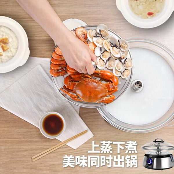 拓璞 海鲜蒸汽锅电蒸锅上蒸下煮多功能家用蒸笼桑拿锅 ES-005S