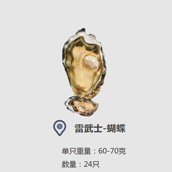 法国雷武士 生蚝24只装（雷武士-蝴蝶）只限北京上海
