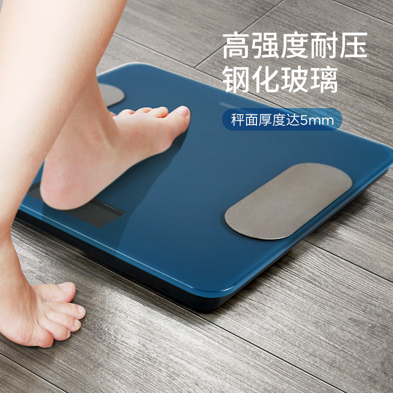 西屋 西屋体脂秤T201