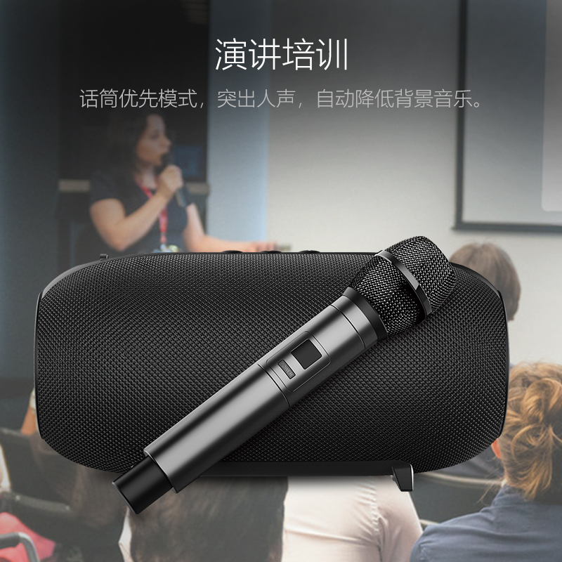 朗琴（ROYQUEEN）无线蓝牙音响 2.0低音炮 HIFI级户外音响 黑色 M800