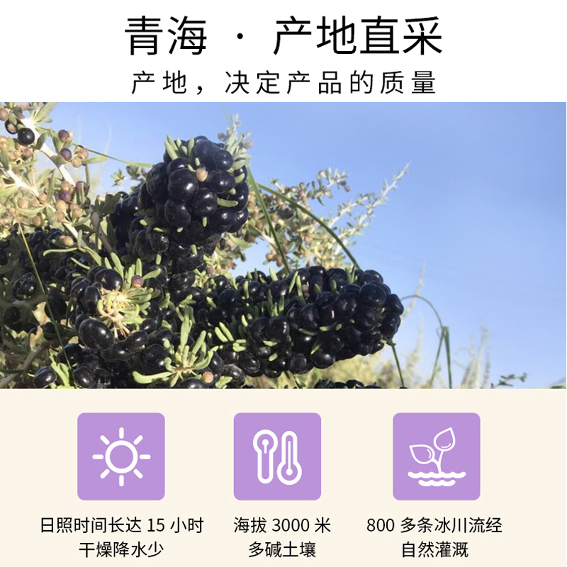 北京同仁堂黑果枸杞袋泡茶30g（2g*15袋）