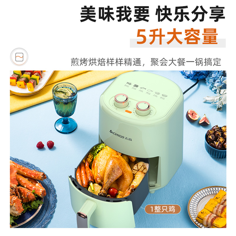 志高 双旋钮空气炸锅 G-001淡绿色（机械）