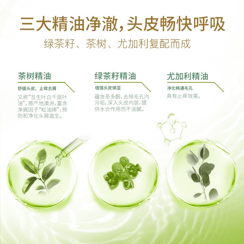 舒蕾 绿茶籽控油去屑洗发露500ml
