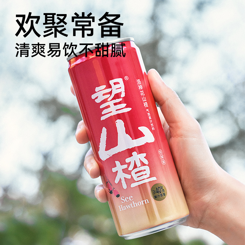 好望水 望山楂铝罐轻享装330ml*6罐