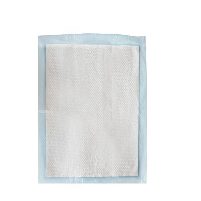 海氏海诺 医用护理垫60*60 10条/包