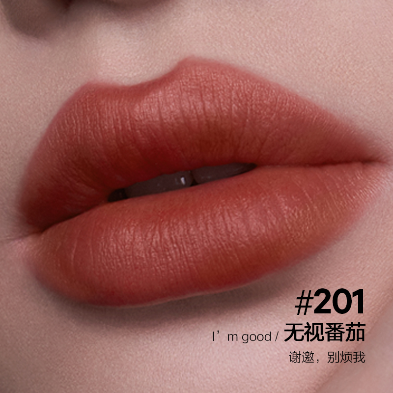 PERFECT DIARY完美日记 锁色薄纱名片唇釉 201无视番茄