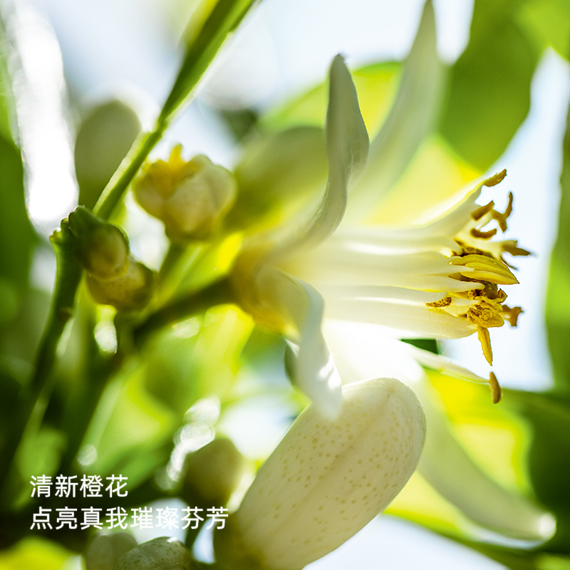 迪奥 真我淡香 50ml