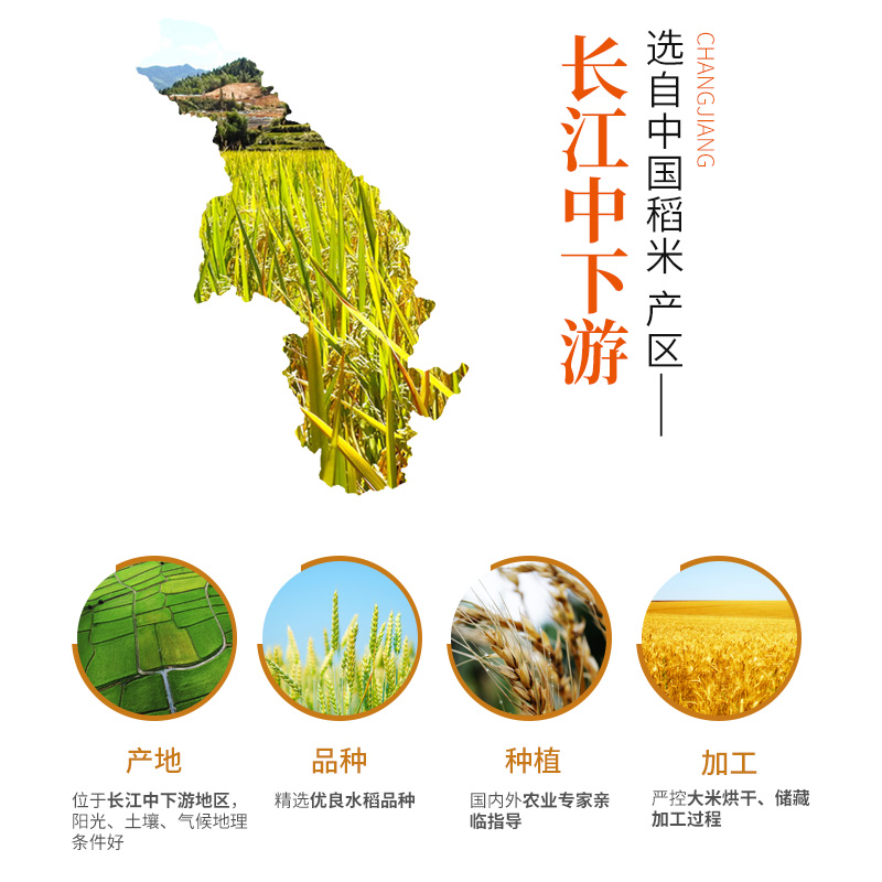 中粮 皇家粮仓金花红虾谷小丝苗米 5kg
