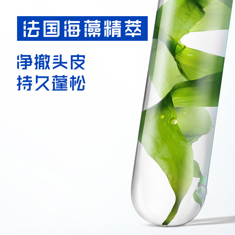 海飞丝 去屑头皮护理洗发露控油蓬松型 360G