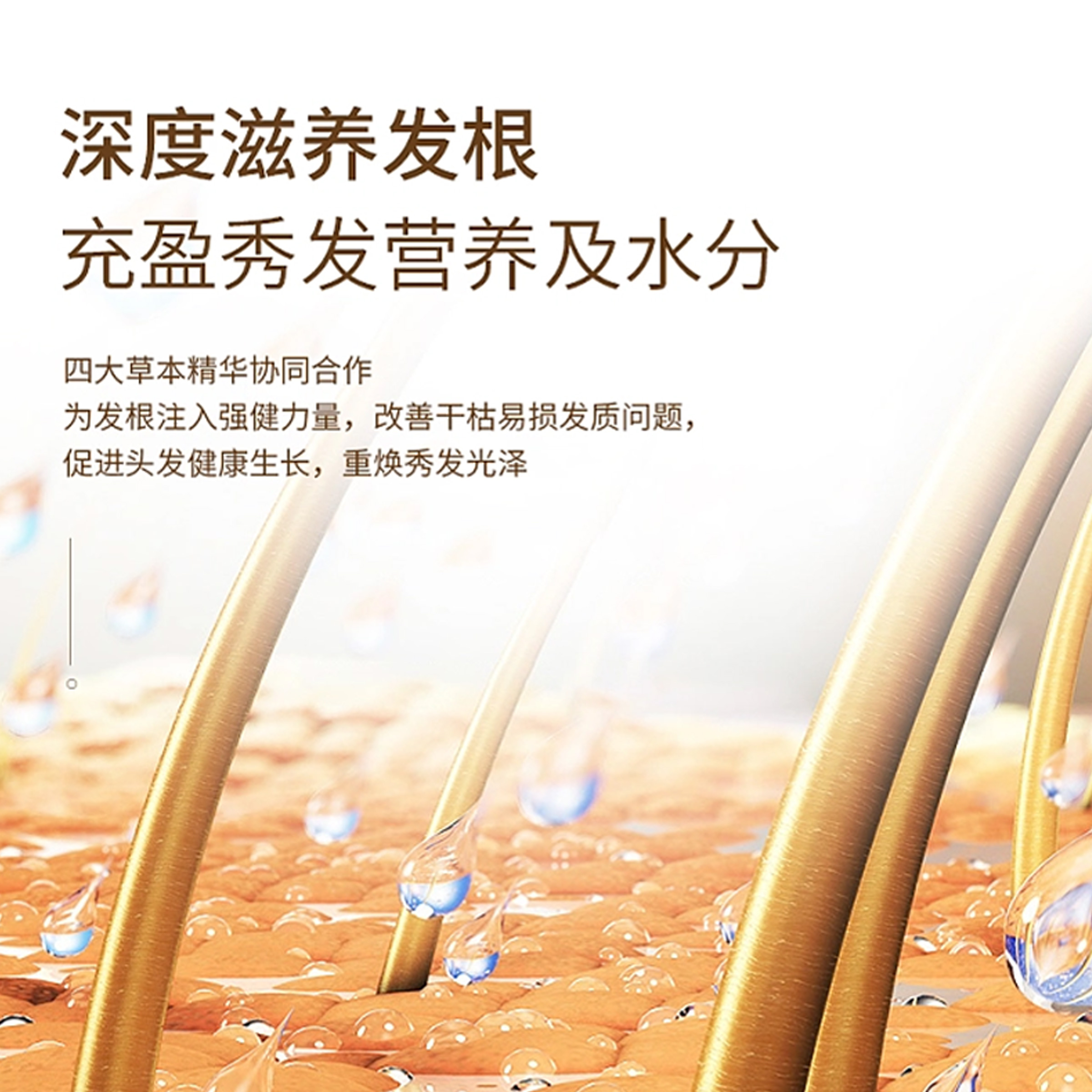 水伊森 生姜氨基酸滋润洗发露650ML