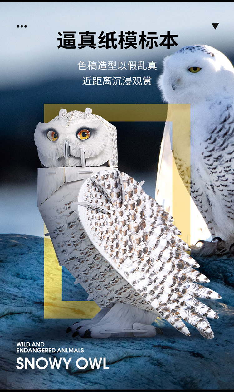 国家地理珍稀动物_03.jpg
