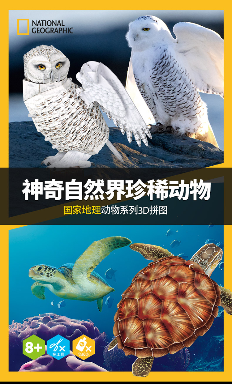 国家地理珍稀动物_01.jpg