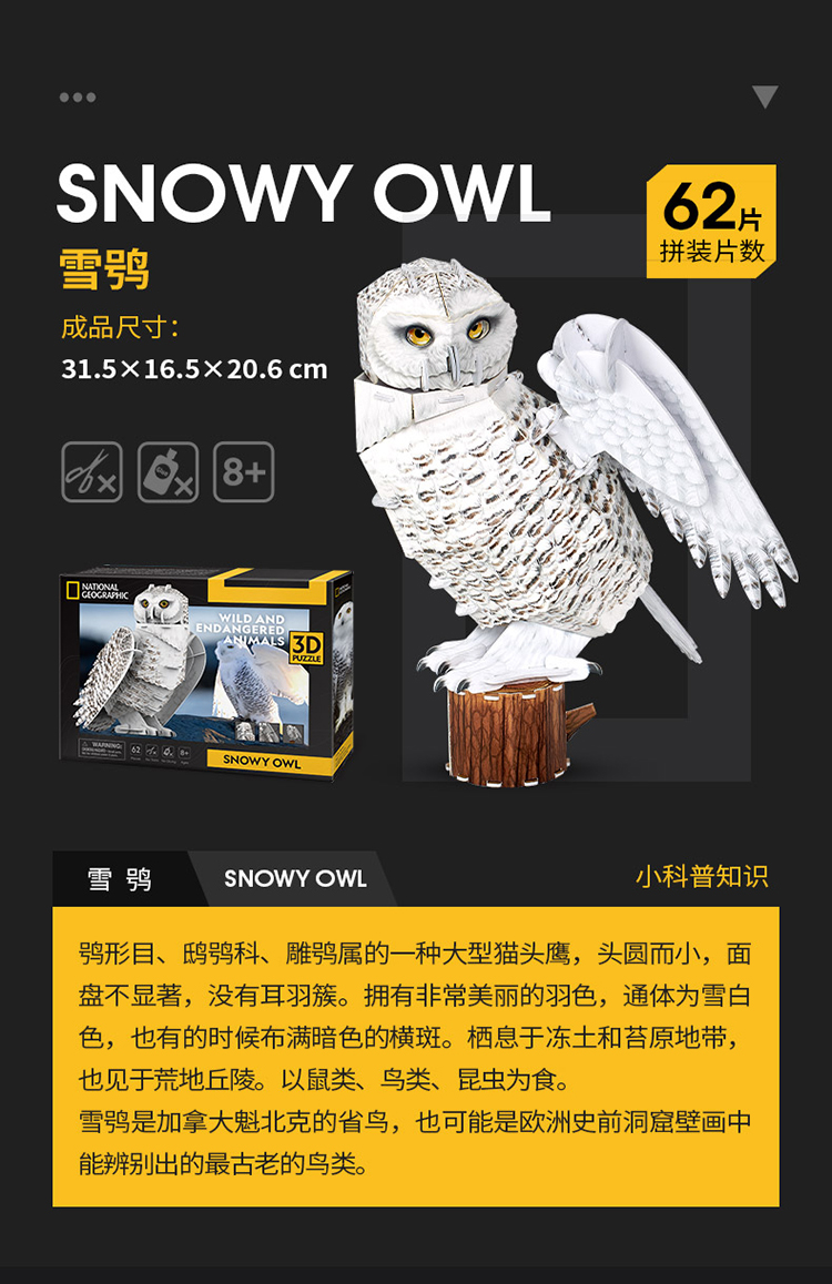 国家地理珍稀动物_09.jpg