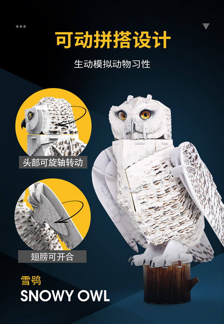 国家地理珍稀动物_04.jpg