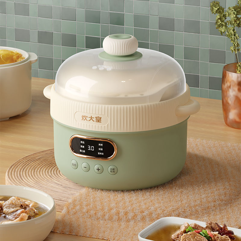炊大皇 多功能电炖锅 CDH-DG0210