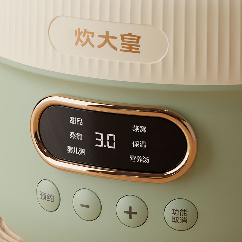 炊大皇 多功能电炖锅 CDH-DG0210