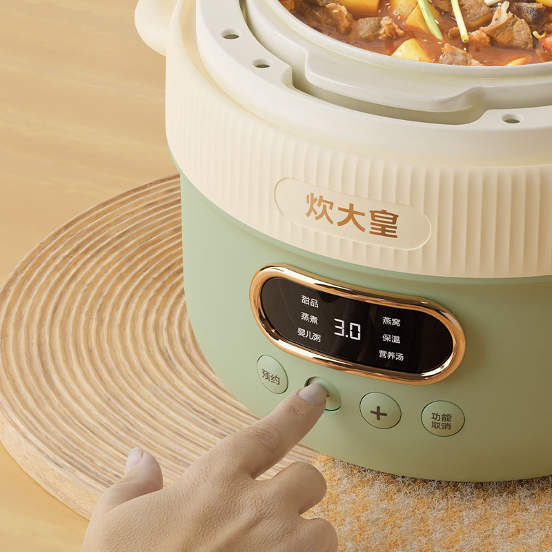 炊大皇 多功能电炖锅 CDH-DG0210