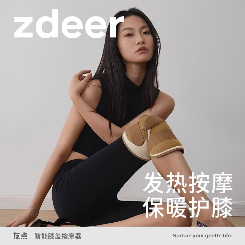 左点 膝盖理疗仪电热护膝 膝盖按摩仪器 保暖加热敷艾草护膝 腿部半月关节暖膝盖护具送老人爸妈生日礼物 ZD-RHX5（1对）