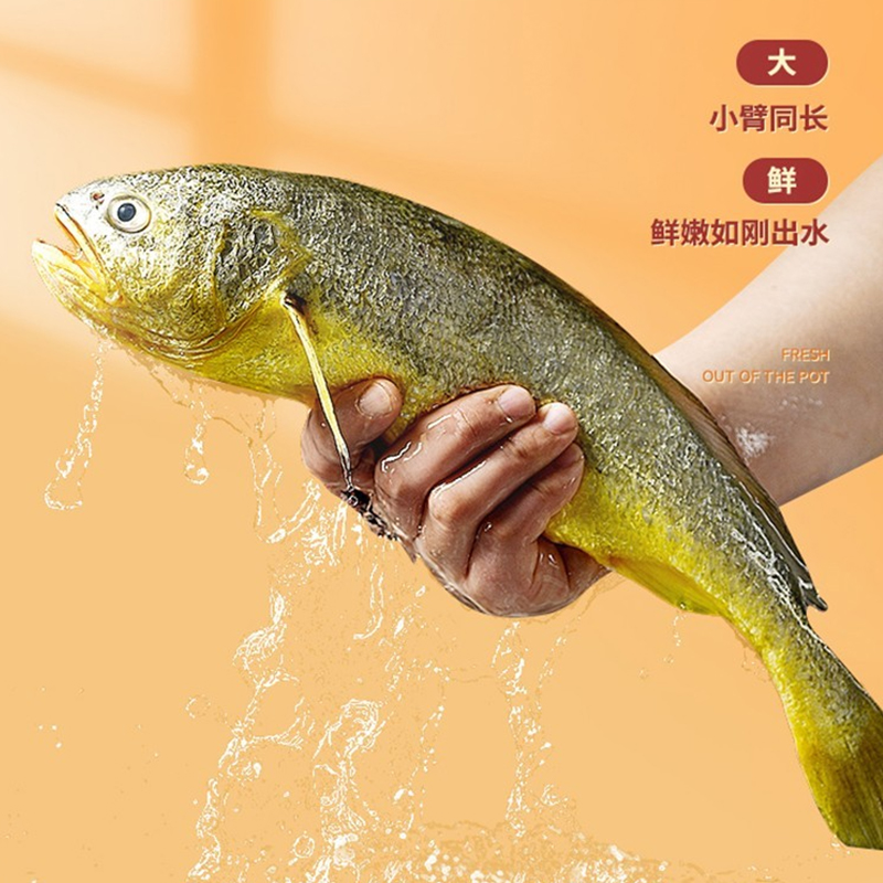 千雨楼 海鲜礼盒598型3450g