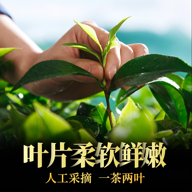 润虎 茶叶云南滇红茶500g新茶礼盒装工夫红茶罐装