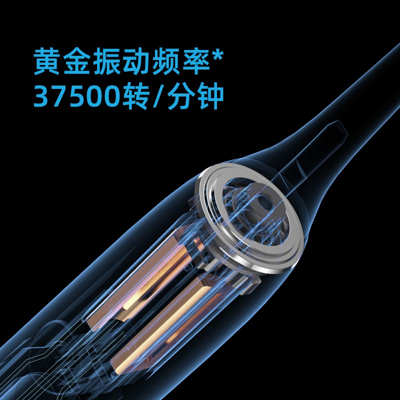 飞科（FLYCO）电动牙刷成人软毛情侣款生日礼物送男女朋友 FT7105浪漫粉