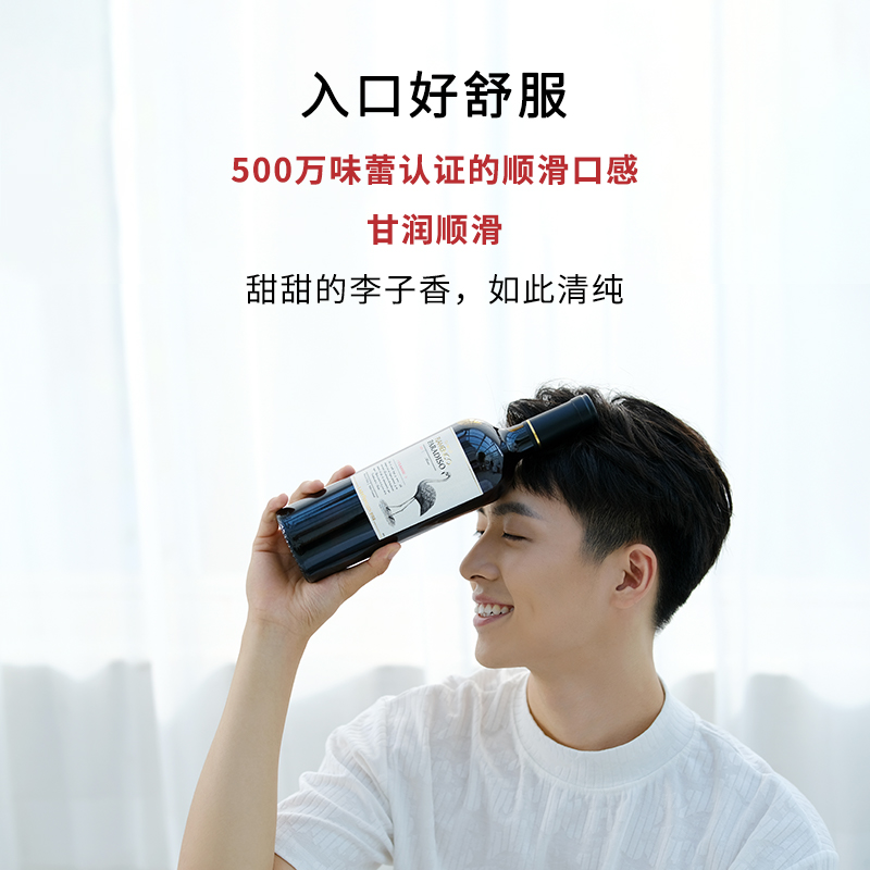 醉鹅娘 如饴火烈鸟酒白鸟梅洛智利进口红酒 干红葡萄酒750ml单支