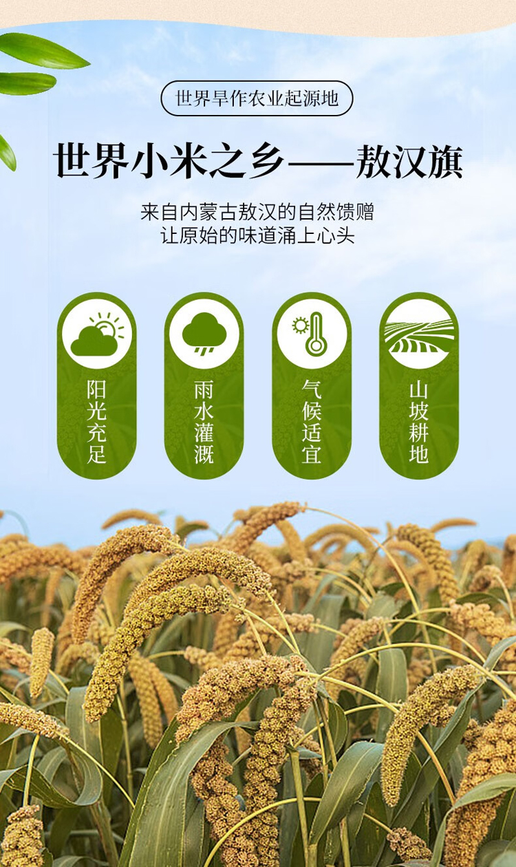详情-02.jpg