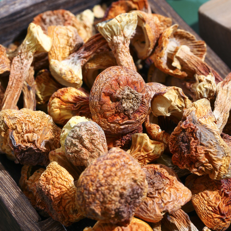 首粮 干菌礼盒山珍汇彩808g南北干货菌菇礼包春节送礼品