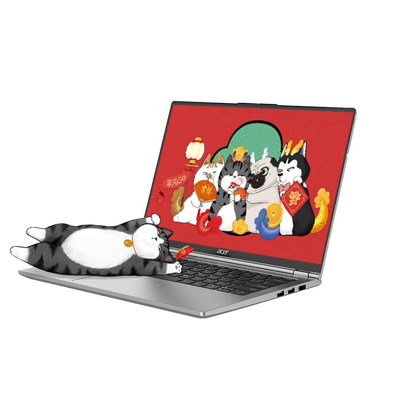 宏碁（acer）非凡Go Pro 14英寸高性能轻薄本 13代酷睿2.8K 120Hz 办公本笔记本电脑学生 (i5-13500H 16G 1T)银