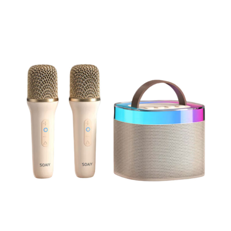 索爱（soaiy）麦克风音响一体带话筒k歌家庭KTV自带声卡蓝牙音箱神器无线唱歌家用卡拉ok SK2双麦油彩白