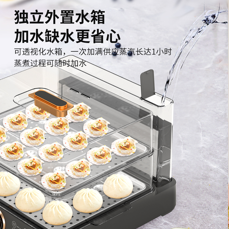 谷格（GUGE）多功能料理电蒸箱电蒸锅多用途锅家用小型透明大容量 GB49
