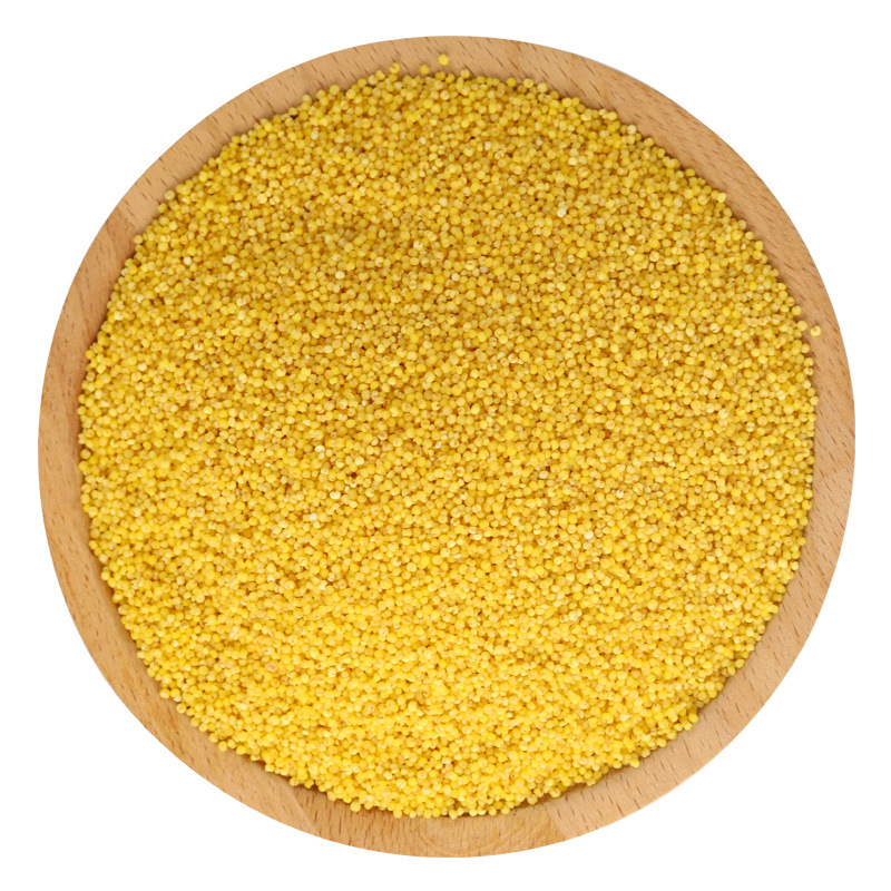 鹤来香 黄小米500g