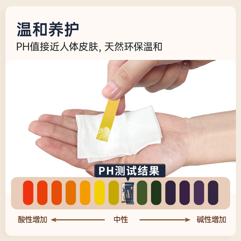 水卫士（水卫仕）皮鞋湿巾12片/袋