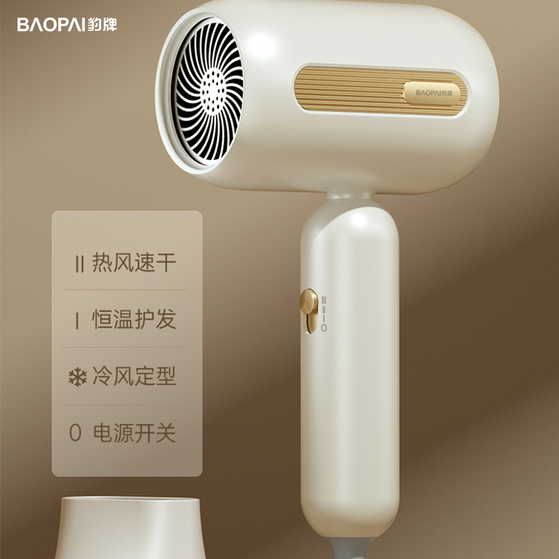 豹牌  高转速电吹风 恒温护发三档风速可调可旋转风嘴 BP-HD295 