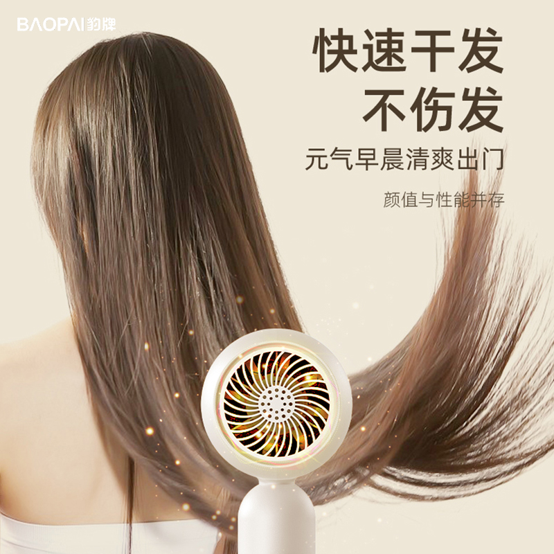 豹牌  高转速电吹风 恒温护发三档风速可调可旋转风嘴 BP-HD295 