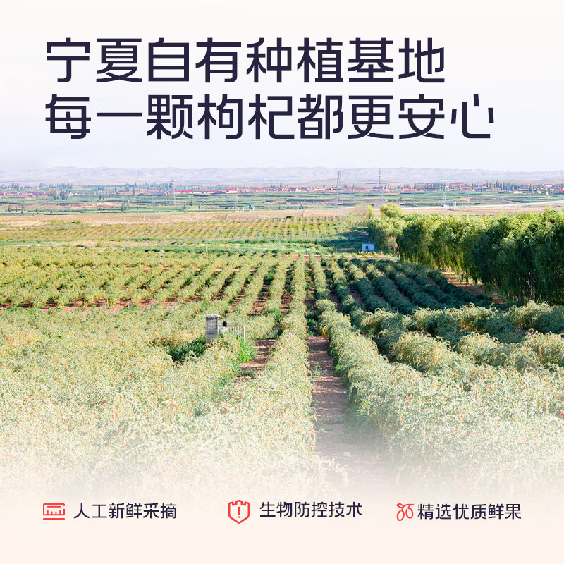 百瑞源 果小凡枸杞原浆210ml（30ml*7袋）