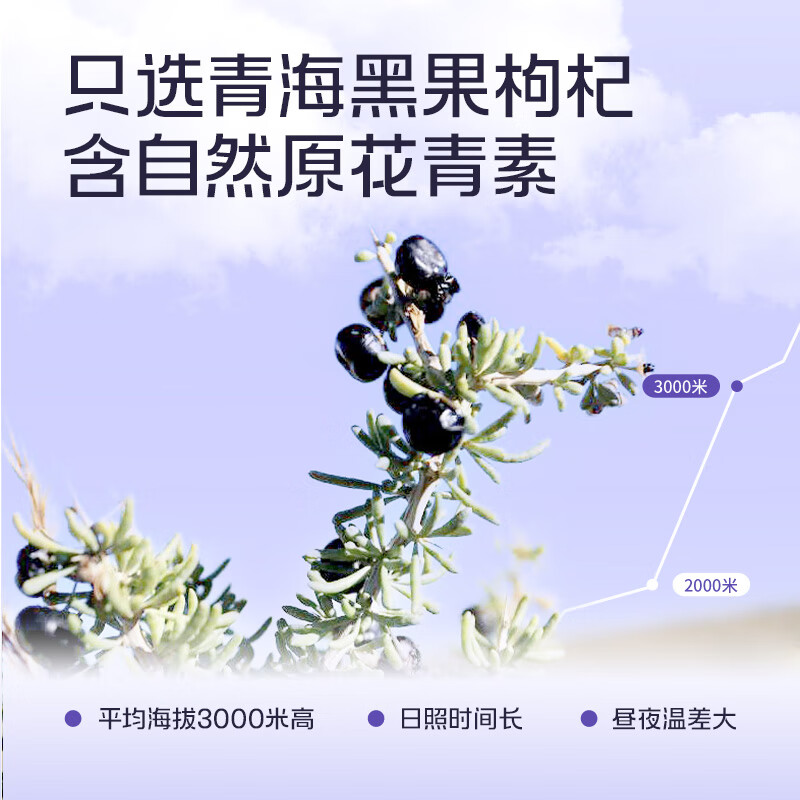 百瑞源 果小凡黑枸杞原浆210ml（30ml*7袋）