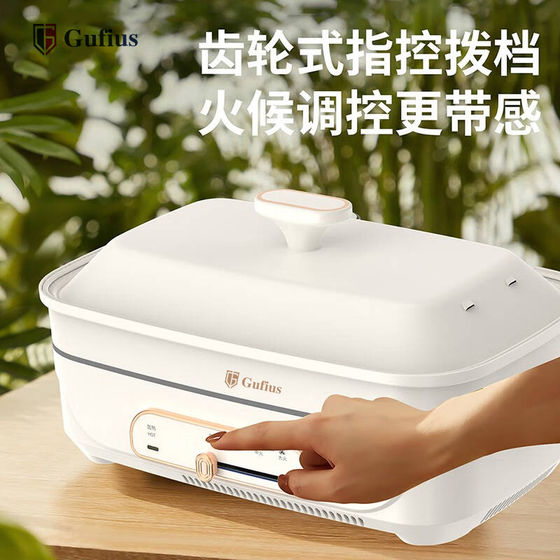 古菲斯 多功能电煮锅 GFZG-21B2
