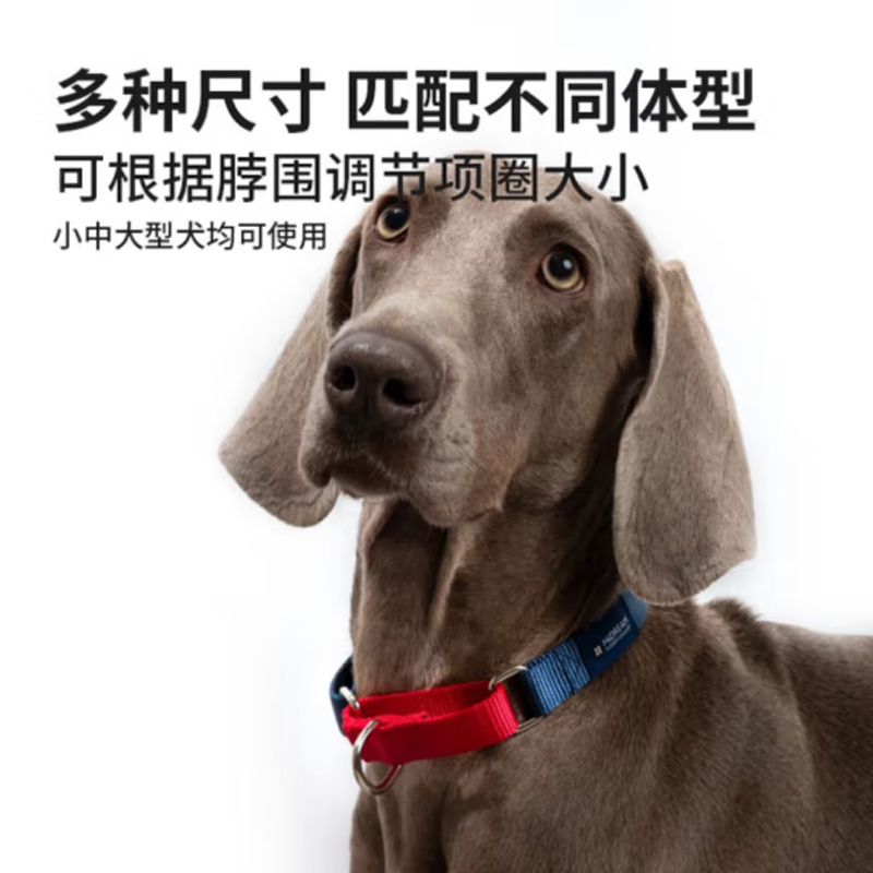 HiDREAM 彩虹狗狗项圈牵引绳小型犬脖圈大型犬颈圈中型犬宠物用品 红黑撞色-可缓冲项圈 S-建议8kg以内 HD008001-01S  