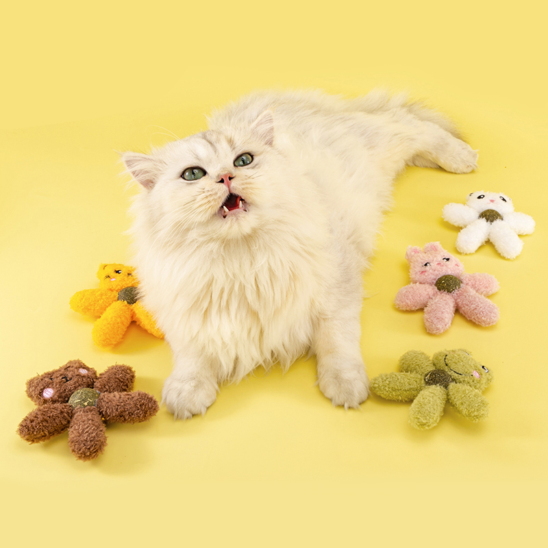 Wakytu英国 猫玩具自嗨解闷猫薄荷猫咪小猫草磨牙宠物猫猫用品大全 小熊猫（助排毛球+清新口气） 适合6月以上猫咪