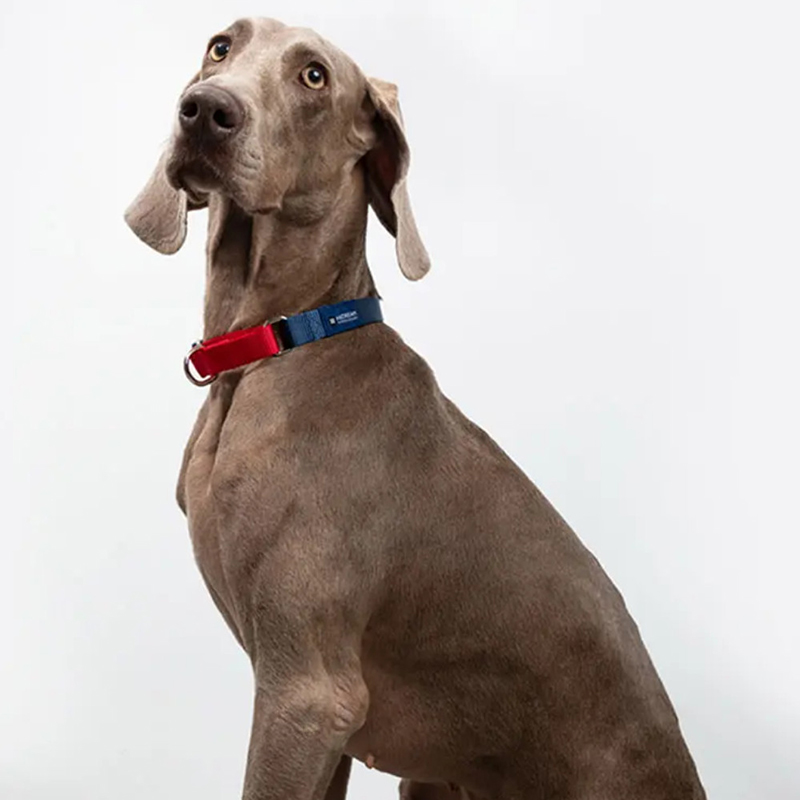 HiDREAM 彩虹狗狗项圈牵引绳小型犬脖圈大型犬颈圈中型犬宠物用品 红黑撞色-可缓冲项圈 S-建议8kg以内 HD008001-01S  
