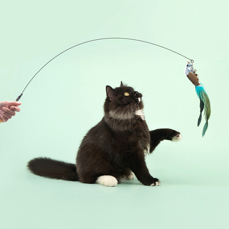 wakytu英国  宠物梳子逗猫棒猫梳毛刷猫咪专用狗狗宠物用品 魔法逗猫棒 青鸟C179W