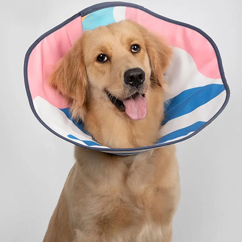 HiDREAM  伊丽莎白圈猫咪绝育头套防舔项圈大型犬头罩宠物用品 釉蓝-锥形伊丽莎白圈 XL 建议12-25kg使用 HD015048-01XL