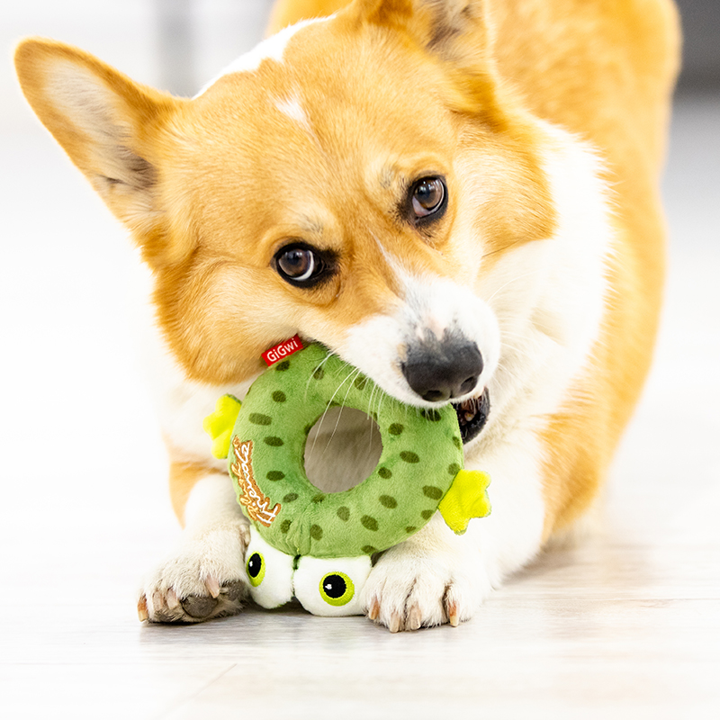 贵为GIGWI  青蛙甜甜圈 G10051C1