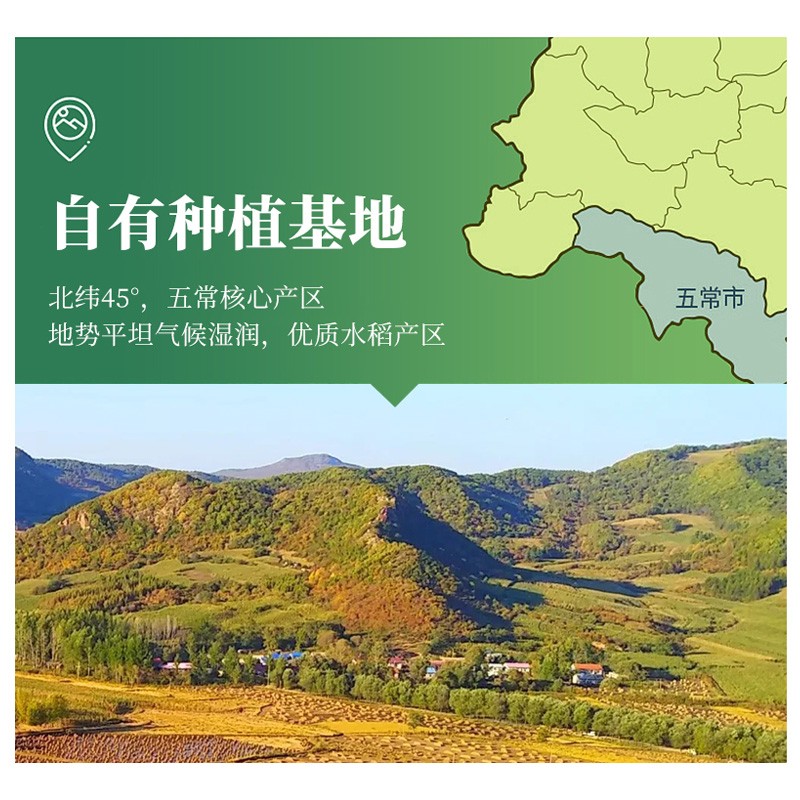 聖上壹品  溯源原香稻有机金奖五常大米真空 5kg